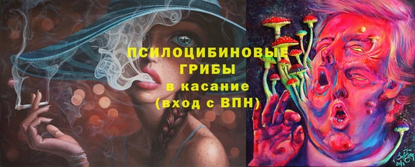 меф Богородицк