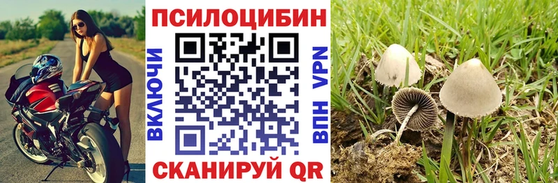 дарк нет Telegram  кракен tor  Пестово  купить наркотик  Псилоцибиновые грибы Psilocybe 